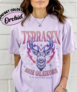 comfort colors terrasen acotar shirt to whatever end fireheart house galathynius throne of glass merch t6v8q