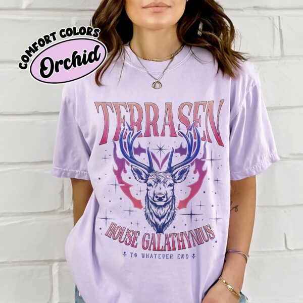 comfort colors terrasen acotar shirt to whatever end fireheart house galathynius throne of glass merch t6v8q