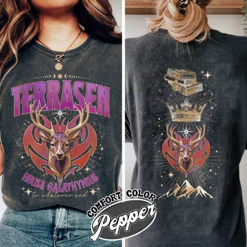 aelin galathynius vintage comfort colors shirt fireheart aelin t shirt kingsflame throne of glass merch 6cio6