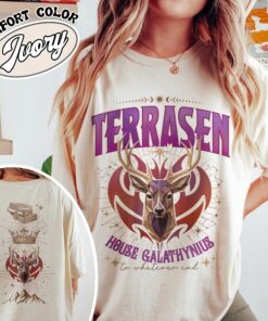 aelin galathynius vintage comfort colors shirt fireheart aelin t shirt kingsflame throne of glass merch 9bneg