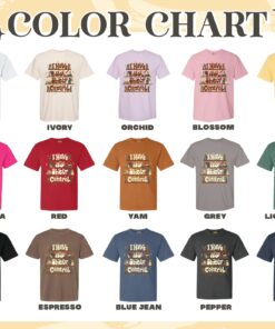 i have no shelf control comfort color shirt book lover vintage t shirt womens librarian gift shirt fz6ro