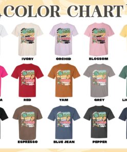 special ed teacher comfort color shirt vintage special education teacher womens custom t shirt dweeb