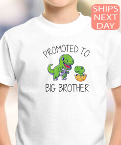 big brother dinosaur shirt promoted to big brother pregnancy announcement t shirt unique gift for new big brothers iffxv