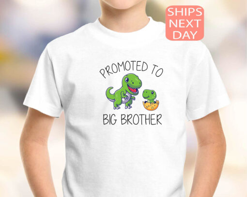 big brother dinosaur shirt promoted to big brother pregnancy announcement t shirt unique gift for new big brothers