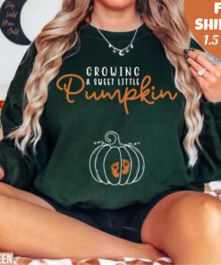 cute fall maternity sweatshirt for pregnancy announcement and reveal sweet little pumpkin design dpuxz