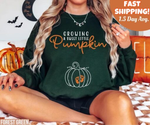 cute fall maternity sweatshirt for pregnancy announcement and reveal sweet little pumpkin design