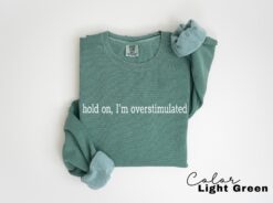 funny mom sweatshirt hold on im overstimulated mental health sweatshirt womens gift for her cute mom life shirt o108k