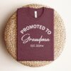 promoted to grandma shirt pregnancy reveal tee new grandma established 2024 cute grandma t shirt for expecting grandmothers vmos7