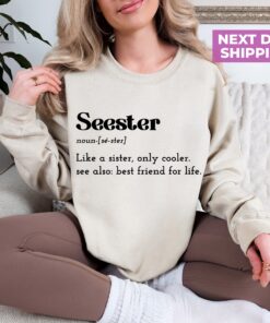 seester definition sweatshirt for women funny saying hoodie unique sister gift cute seester noun shirt oybob